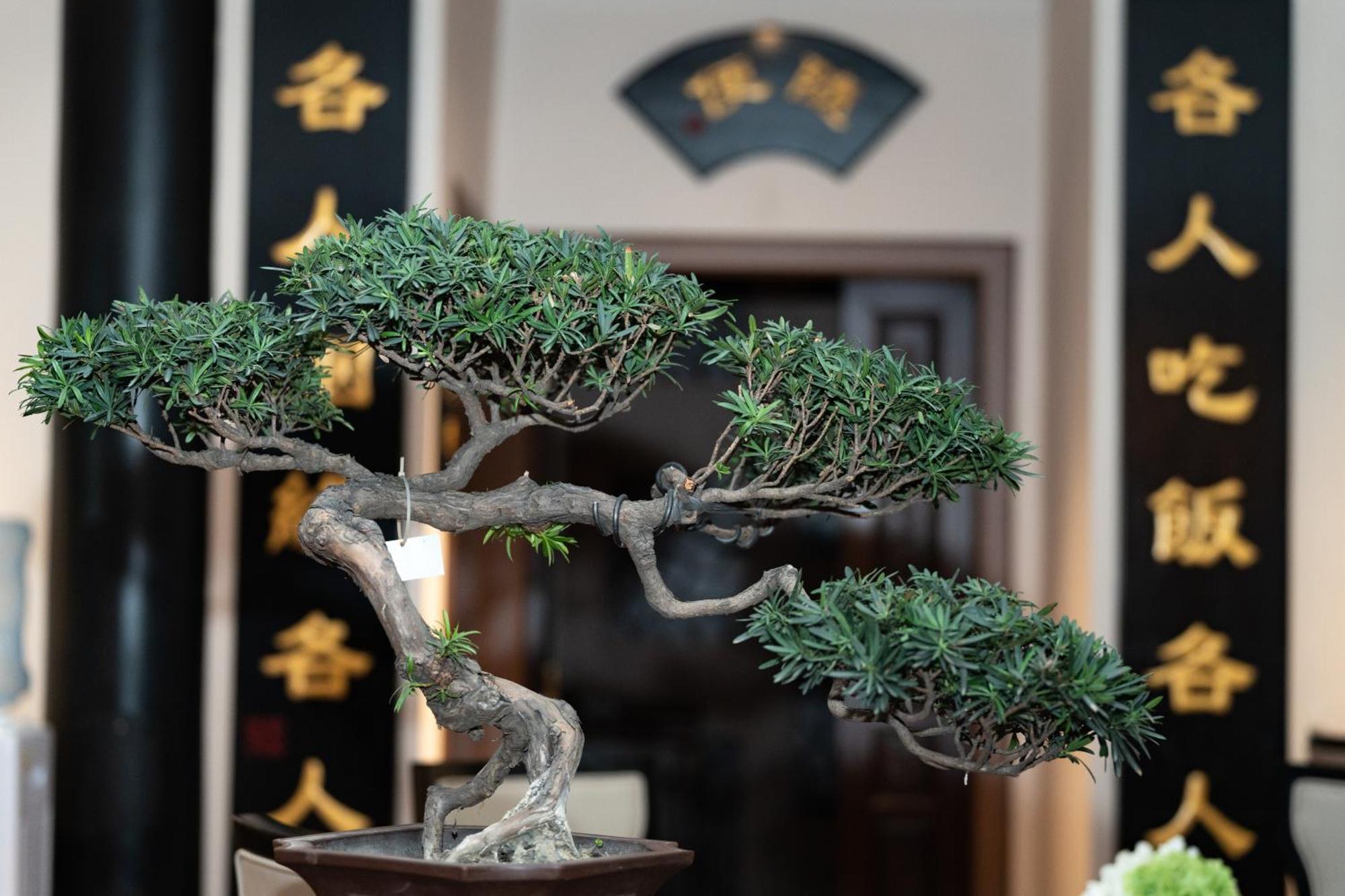 Buddha Zen Hotel Τσενγκντού Εξωτερικό φωτογραφία
